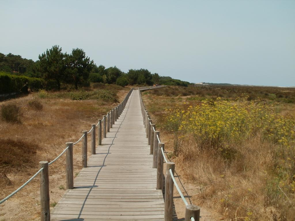 BestVillas Park Ofir Esposende Exteriör bild